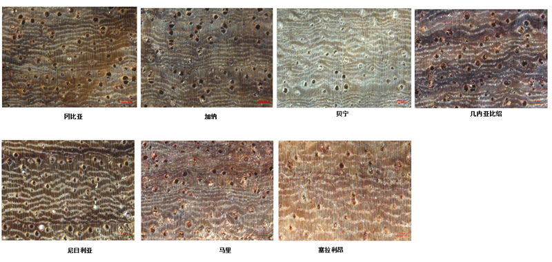 1570869058292013.jpg 未標(biāo)題-1.jpg