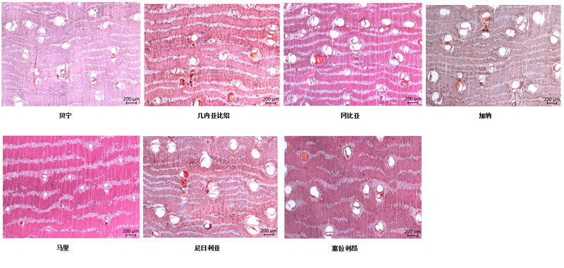 1570869225293003.jpg 未標(biāo)題-2.jpg