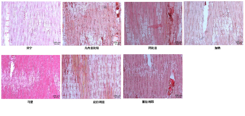 1570869409460612.jpg 未標(biāo)題-3.jpg