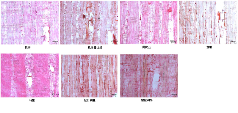 1570869712101856.jpg 未標(biāo)題-4.jpg