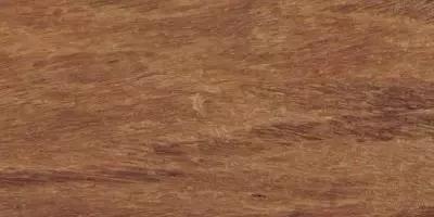 1578987888963430.jpg 7.jpg