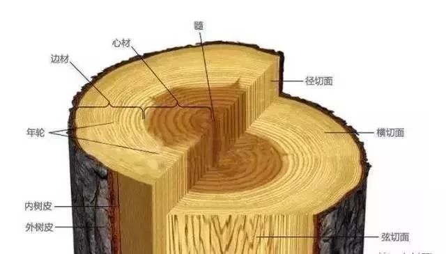 1582339511416617.png image.png